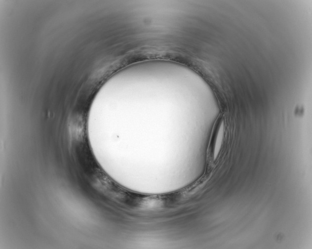 X0000093150335200710241407