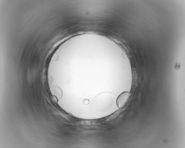 X0000093150338200710241407