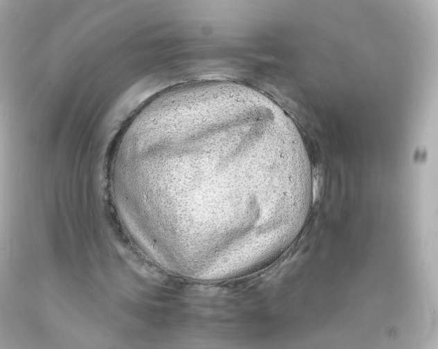 X0000093150339200710241407