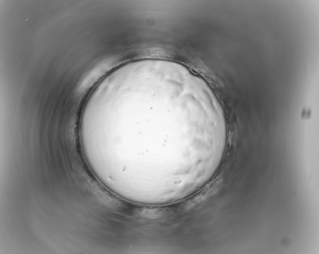 X0000093150341200710241407