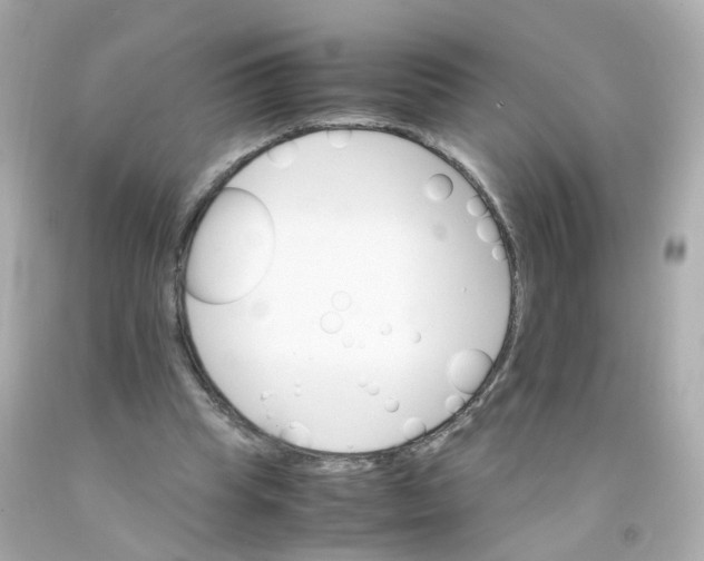 X0000093150345200710241407