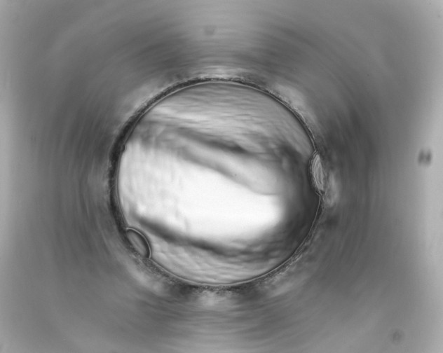 X0000093150346200710241407