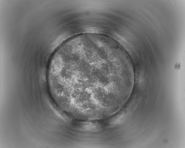 X0000093150347200710241407