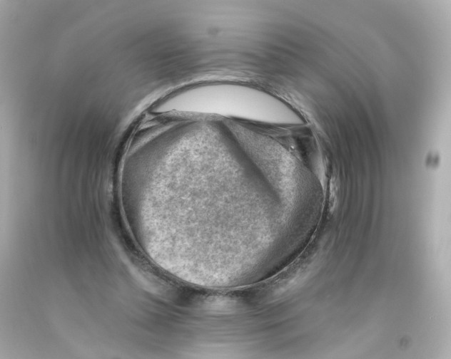 X0000093150348200710241407