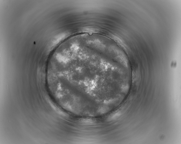 X0000093150349200710241407