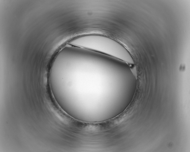 X0000093150350200710241407