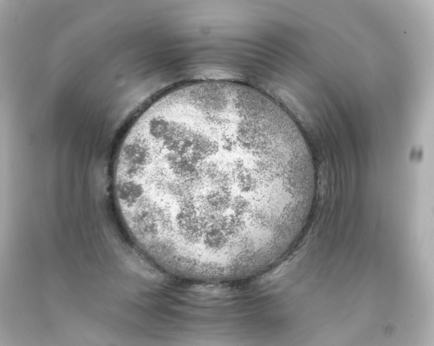 X0000093150351200710241407