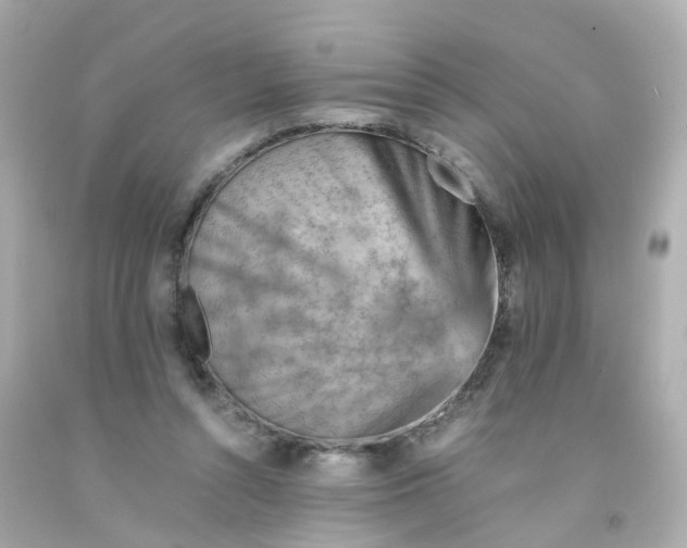 X0000093150352200710241407