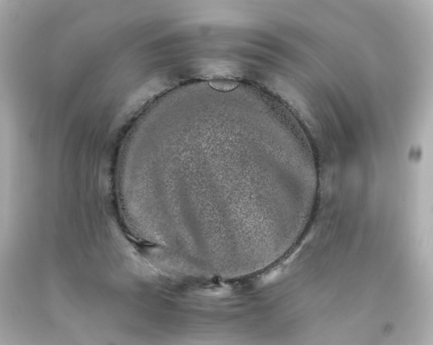 X0000093150353200710241407