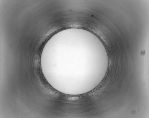 X0000093150355200710241407