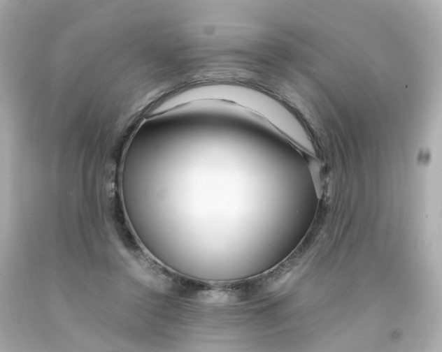 X0000093150356200710241407