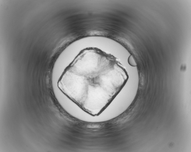 X0000093150357200710241407