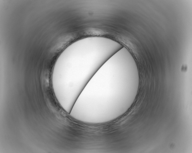 X0000093150358200710241407