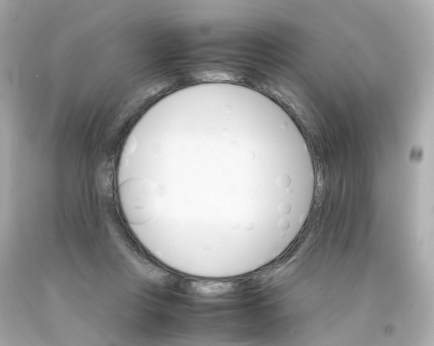 X0000093150359200710241407