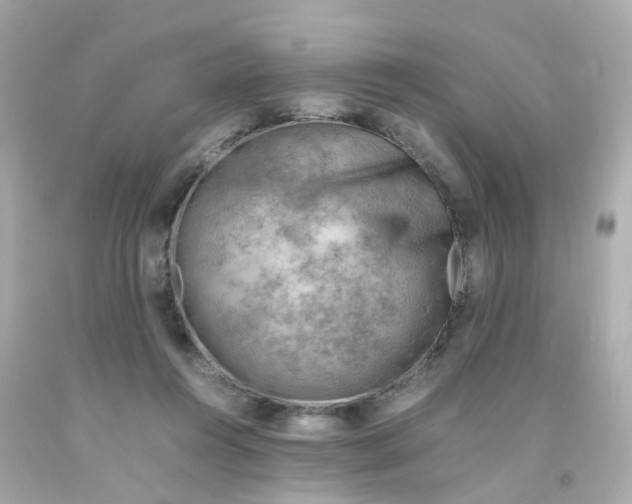 X0000093150360200710241407