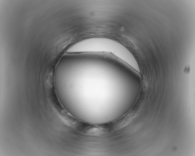 X0000093150364200710241407