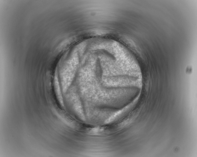 X0000093150366200710241407