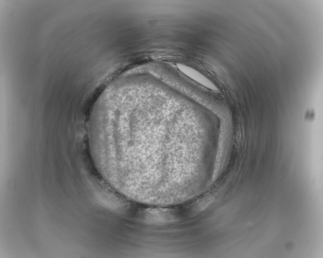 X0000093150367200710241407