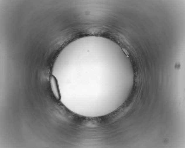 X0000093150368200710241407