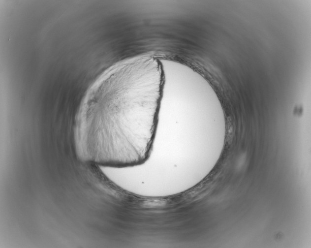 X0000093150369200710241407