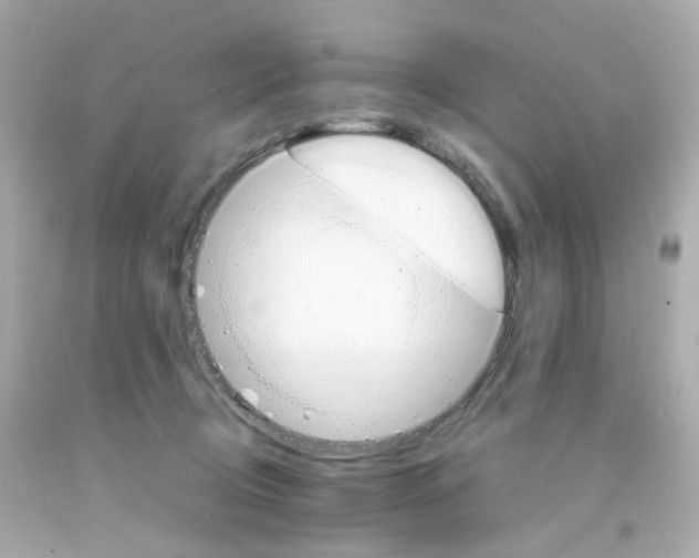 X0000093150370200710241407