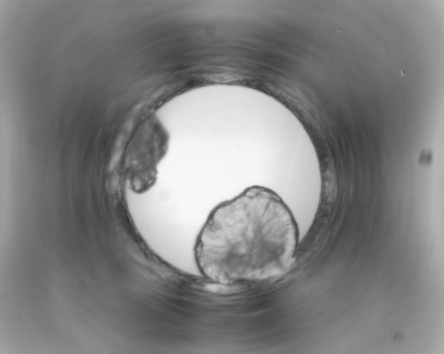 X0000093150371200710241407