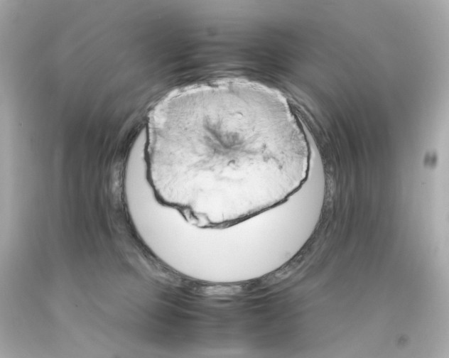 X0000093150373200710241407