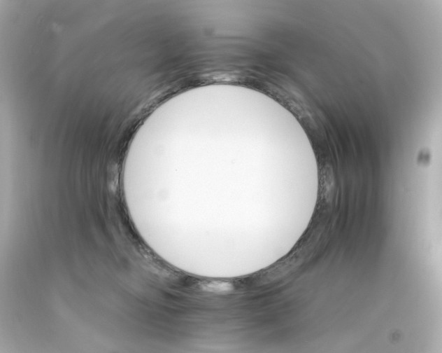 X0000093150374200710241407