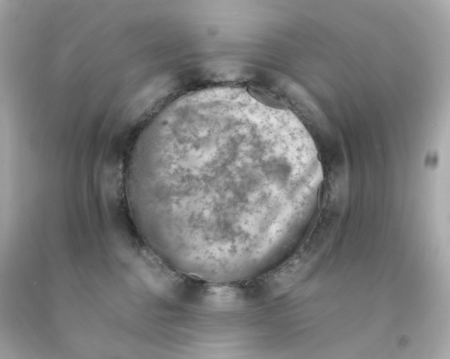 X0000093150376200710241407