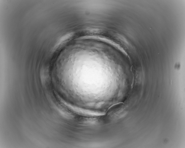 X0000093150377200710241407