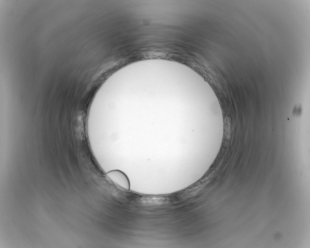 X0000093150378200710241407