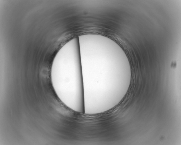 X0000093150379200710241407