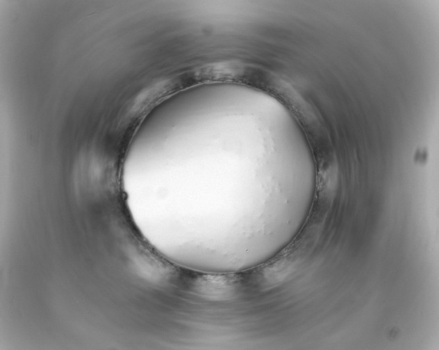 X0000093150381200710241407