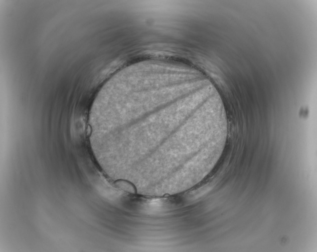 X0000093150382200710241407