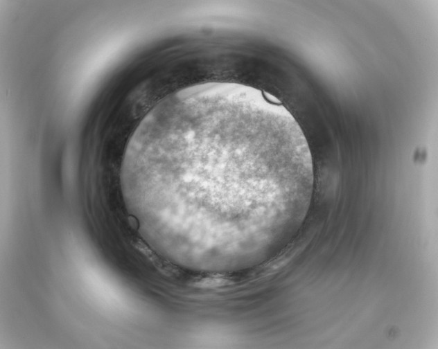 X0000093150383200710241407