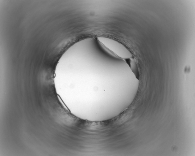 X0000093150384200710241407