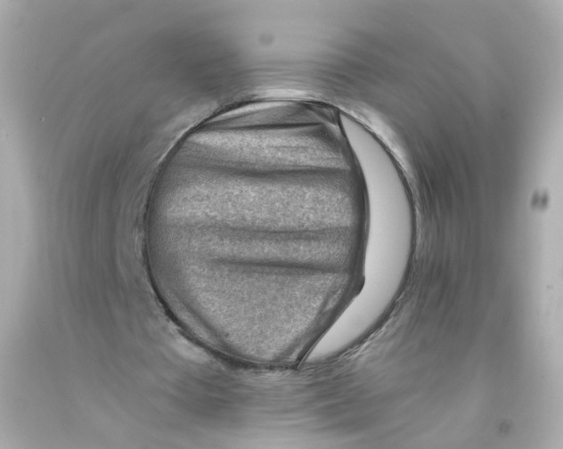 X0000093150385200710241407