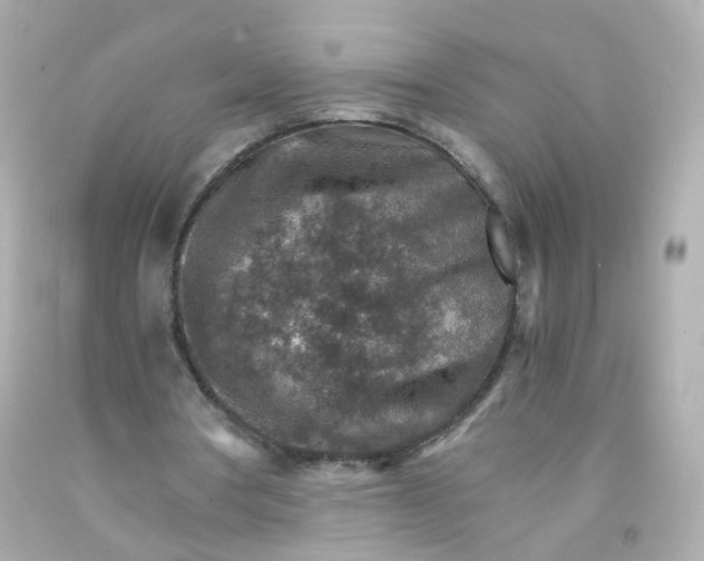 X0000093150386200710241407