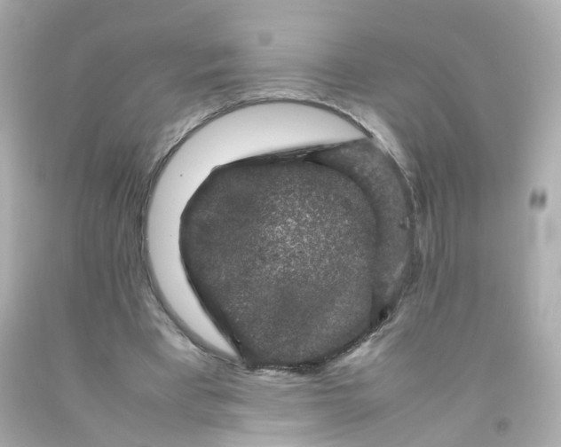 X0000093150393200710241407