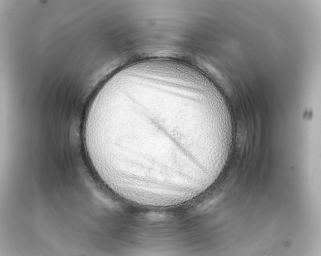 X0000093150394200710241407