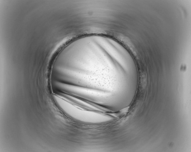 X0000093150395200710241407