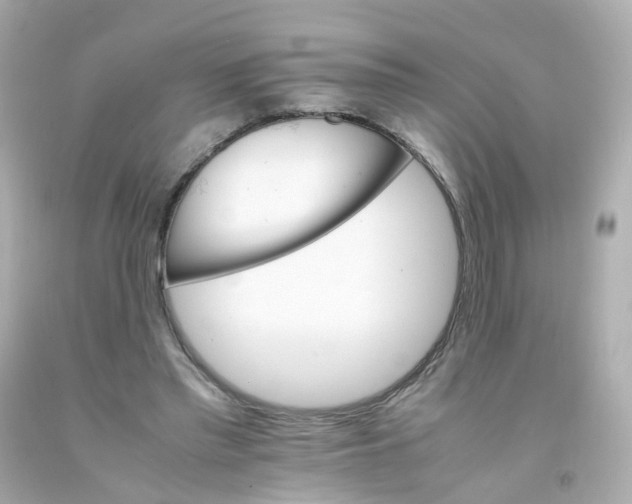 X0000093150397200710241407