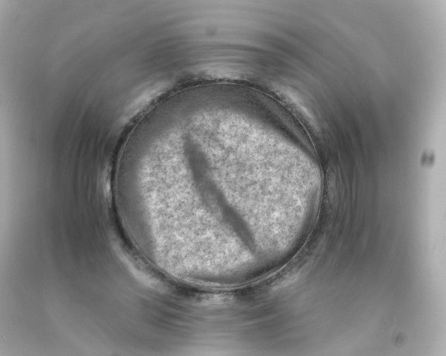 X0000093150398200710241407