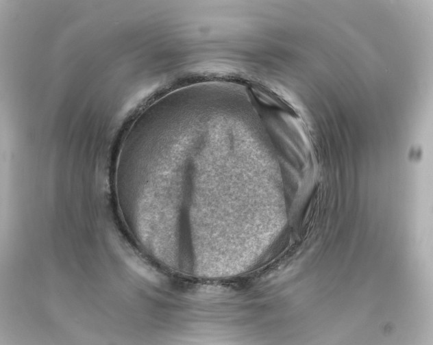 X0000093150399200710241407