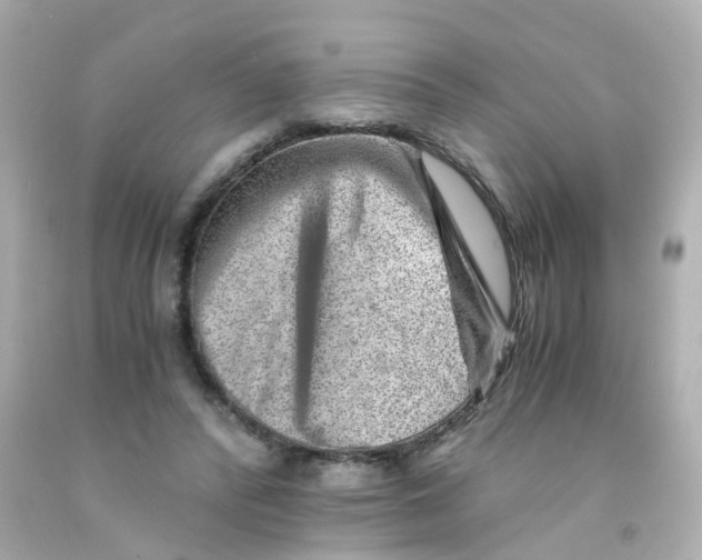 X0000093150400200710241407