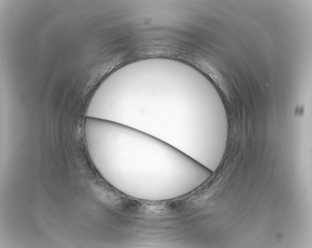 X0000093150401200710241407