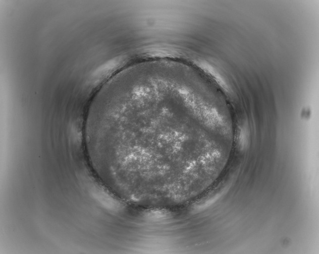 X0000093150402200710241407