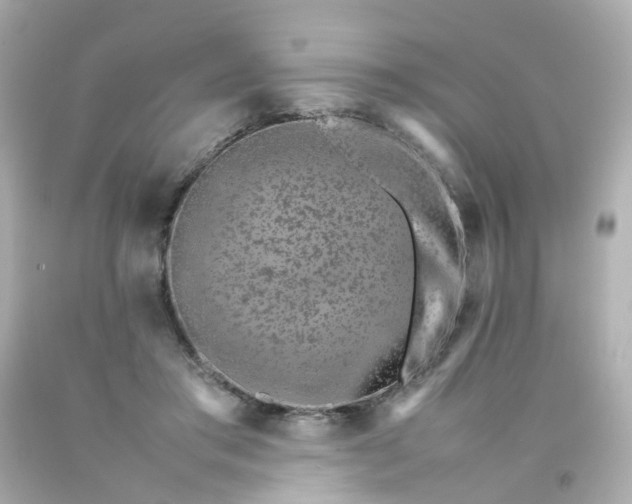 X0000093150405200710241407