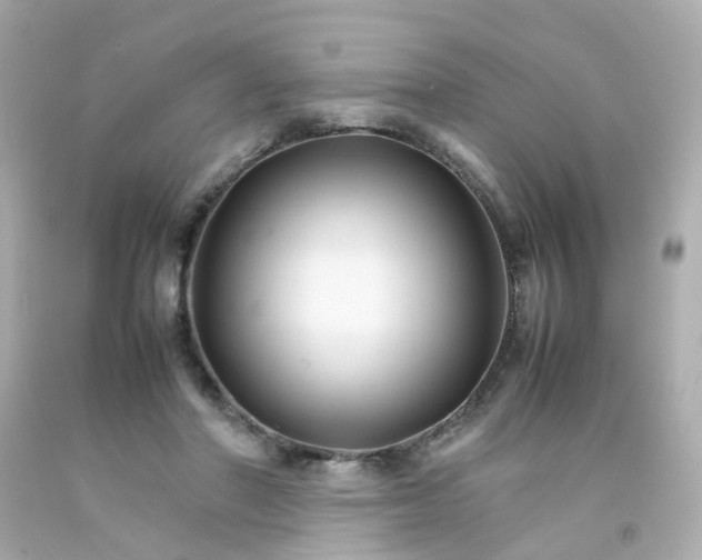 X0000093150406200710241406