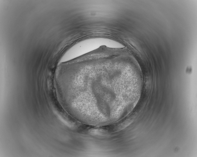 X0000093150408200710241406